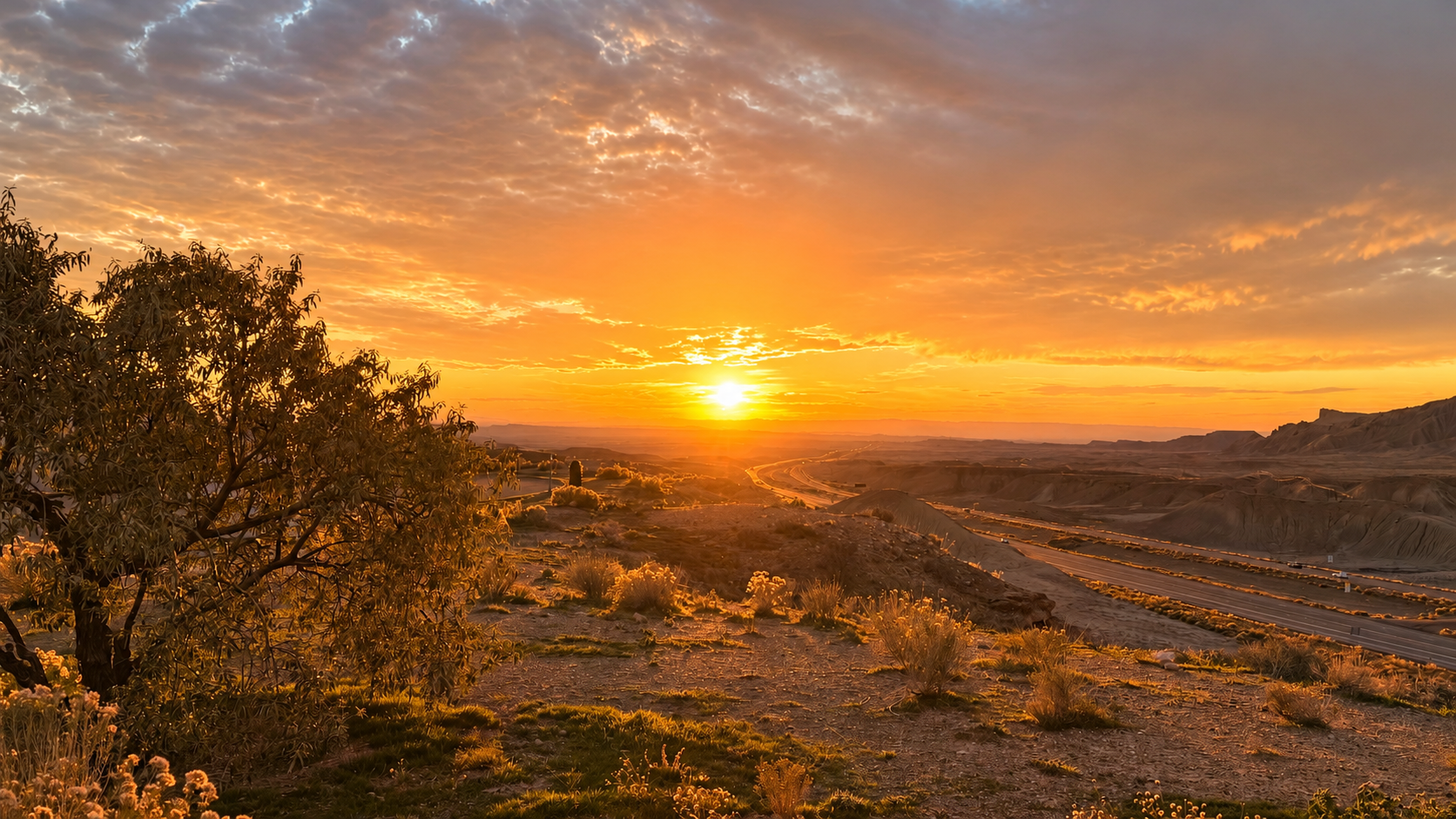 Golden sunset lighting a tree and desert plants beside a highway through rugged hills.