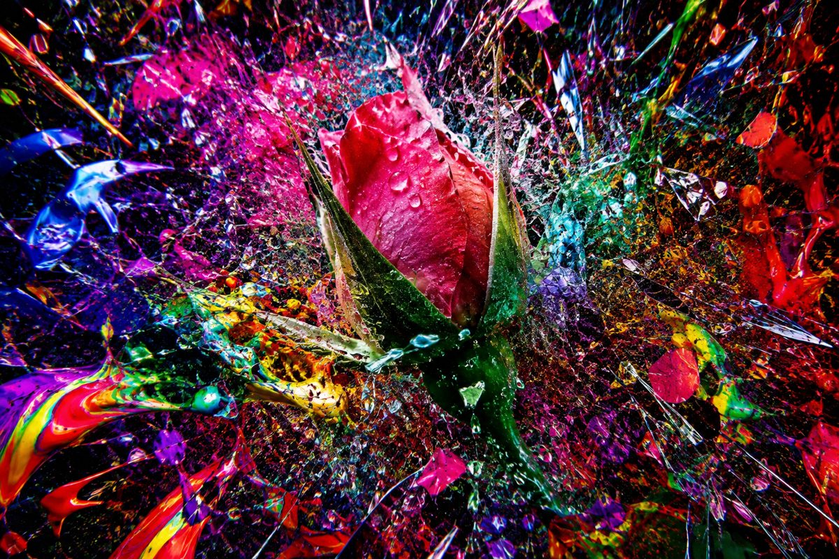 A pink rosebud surrounded by colorful splashes and fragments.